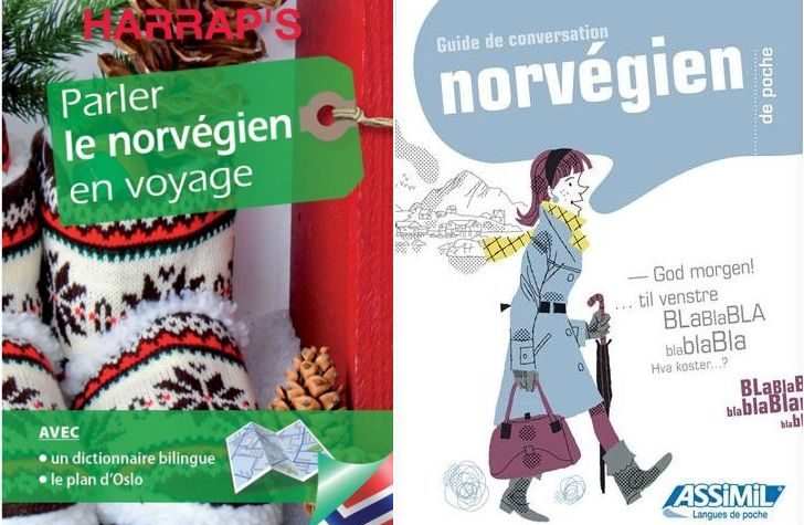 Livres de conversation norvégienne